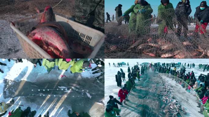 4K 大庆连环湖渔猎冬捕现场