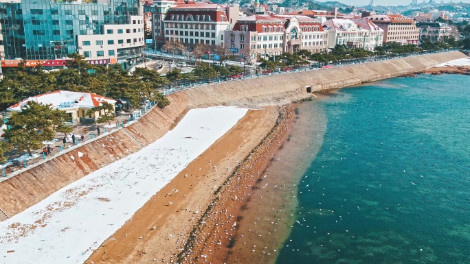 青岛雪景青岛冬天