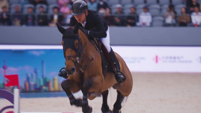 浪琴环球马术冠军赛13中国马术选手