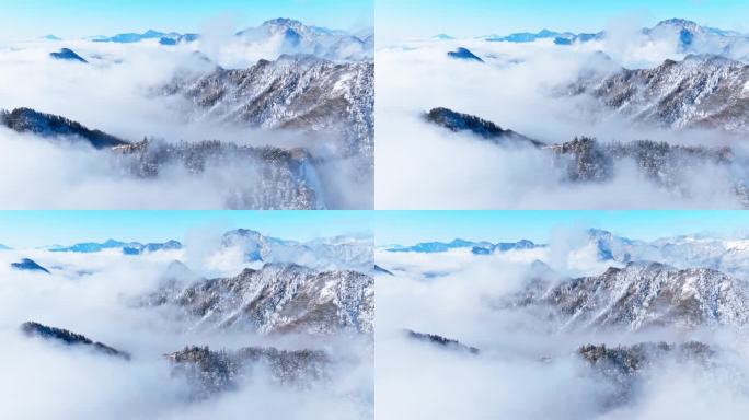 航拍四川西岭雪山美丽冬天云雾缭绕雪景