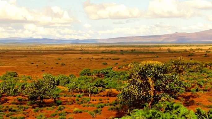 巴拉圭大平原的亚热带景观