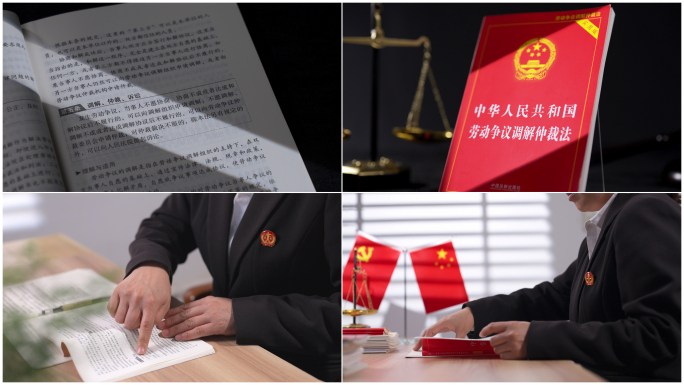 【4K高清原创】劳动争议调解仲裁法
