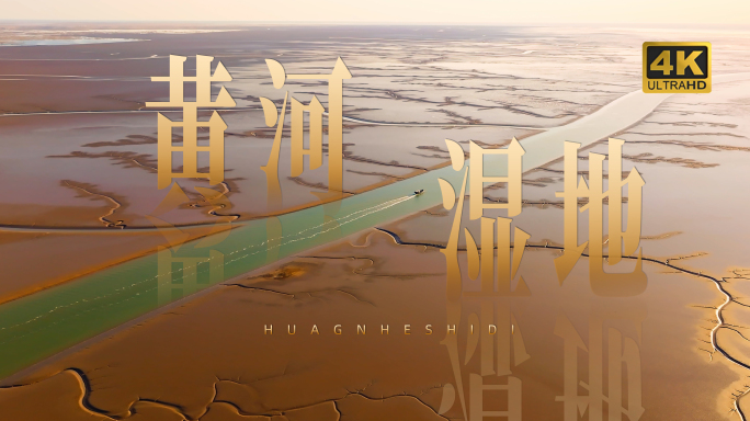 【合集】航拍黄河入海口湿地潮汐树三角洲