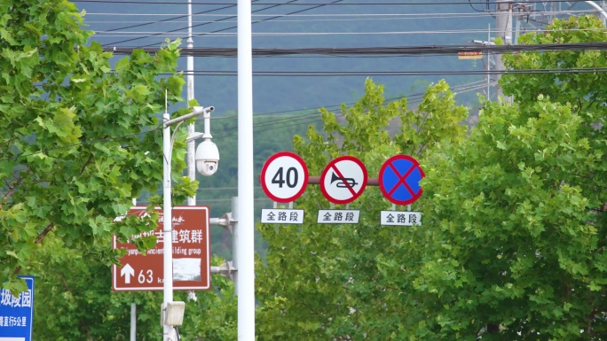 暴风，台风，风吹树叶，狂风大起