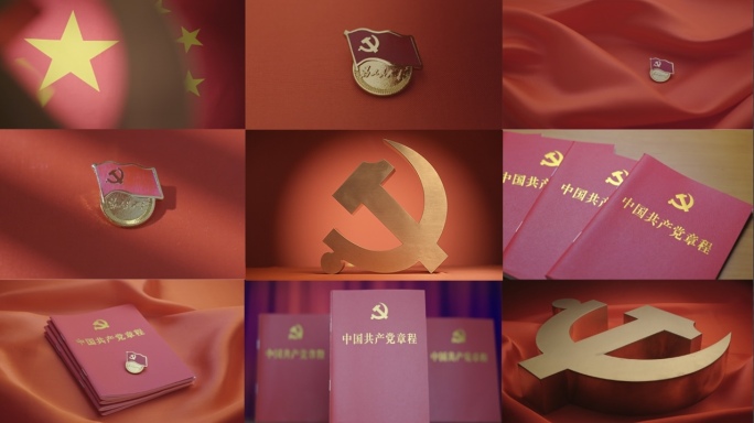 党、党徽、徽章、党章、党建、党标、国旗