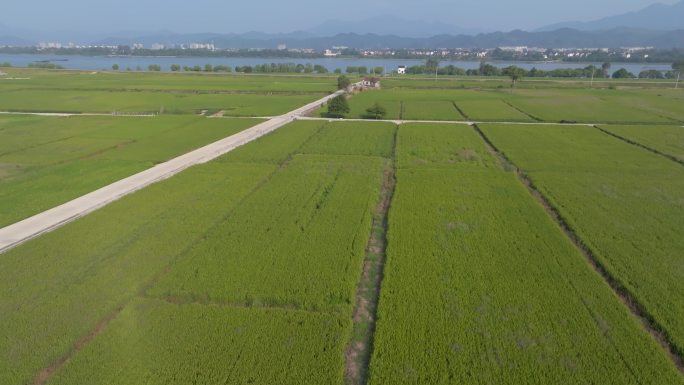 杭州富阳桐州岛包家淇航拍