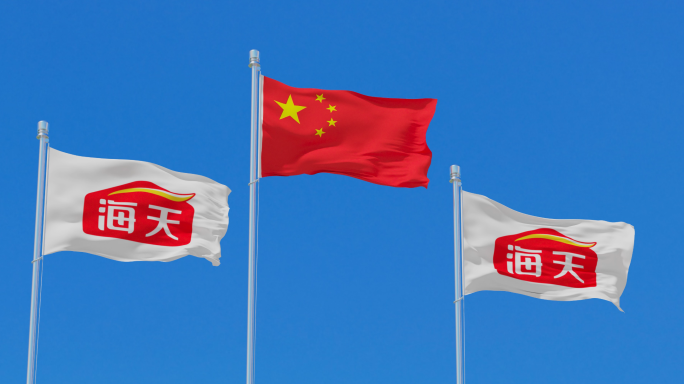 海天集团旗帜素材