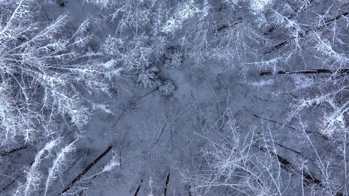 航拍东北下暴雪林海雪原威虎山