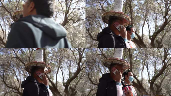 莎车 新疆 舞蹈 民族舞 木卡姆 非遗