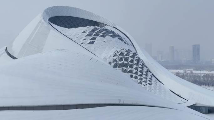 4K 大雪中的哈尔滨大剧院与文化宫