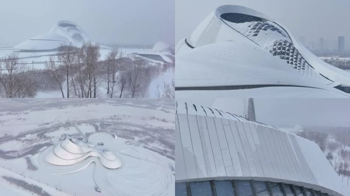 4K 大雪中的哈尔滨大剧院与文化宫