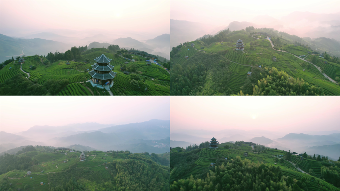 柳州三江布央茶山