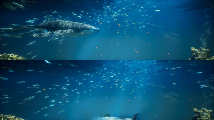原创写实海底海洋沉浸式视频