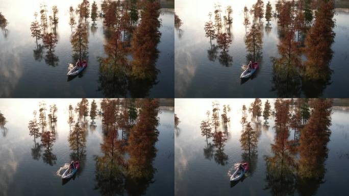 台州黄岩长潭水库红杉林航拍JI_0747