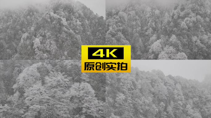 大雪纷飞雪景雪淞高山严寒冬季冬天