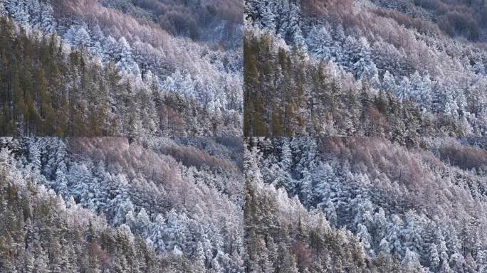 航拍东北下暴雪林海雪原威虎山