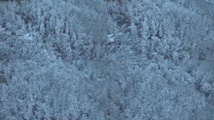 航拍东北下暴雪林海雪原威虎山