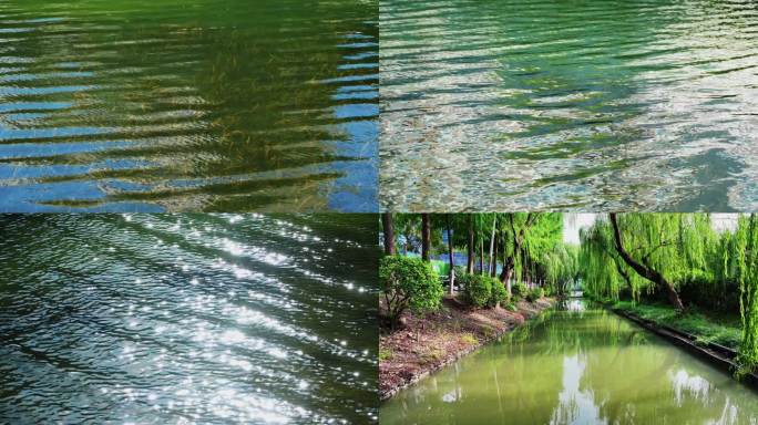 清澈河道水下水草