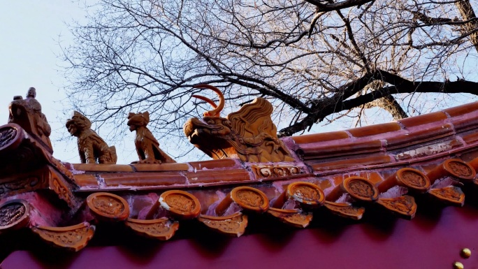 古建筑 屋脊 屋脊兽 建筑 氛围 过去