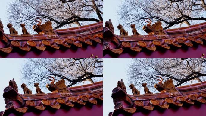 古建筑 屋脊 屋脊兽 建筑 氛围 过去