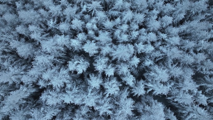 航拍东北下暴雪林海雪原威虎山