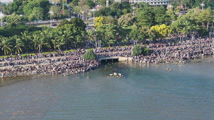 深圳湾公园看鸟观鸟人群航拍