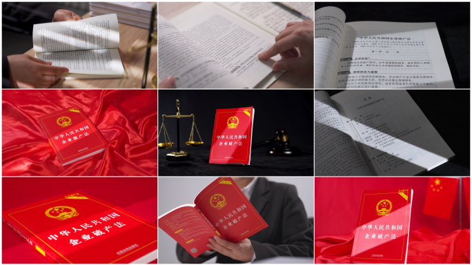 【4K高清原创】企业破产法