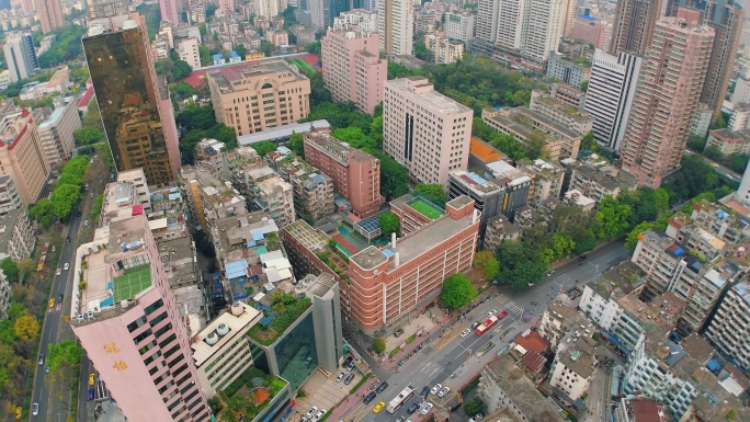 越秀区-农林下路小学