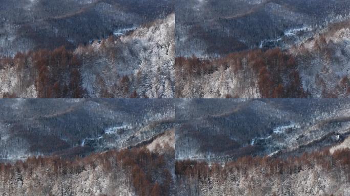 航拍东北下暴雪林海雪原威虎山