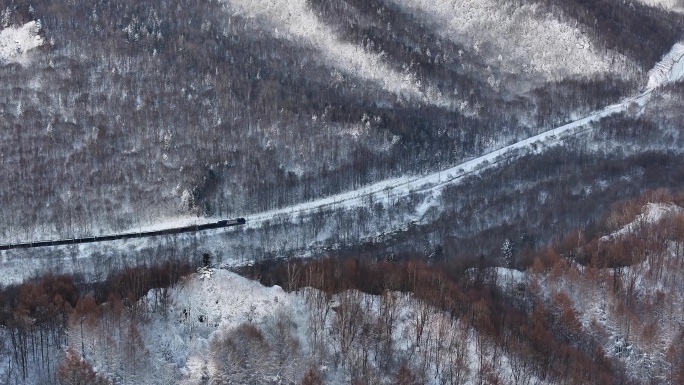 火车行驶在冬天的林海雪原
