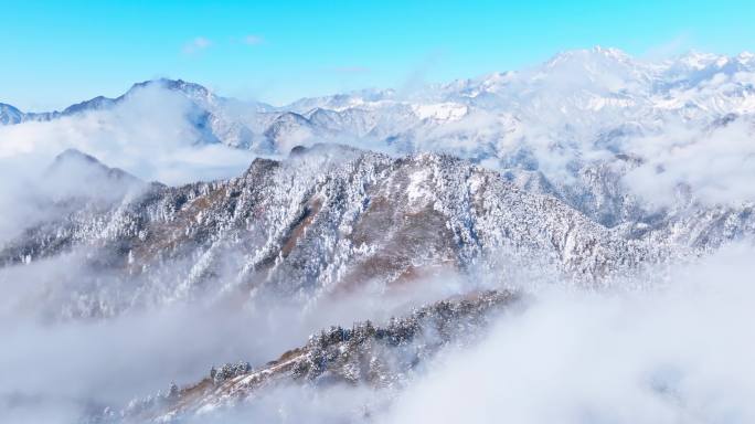 四川西岭雪山美丽风景冬天白雪皑皑云雾缭绕