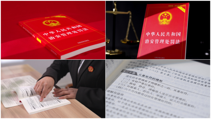 【4K高清原创】治安管理处罚法