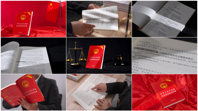 【4K高清原创】民法典侵权责任编