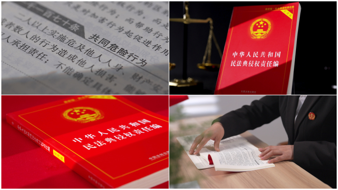 【4K高清原创】民法典侵权责任编