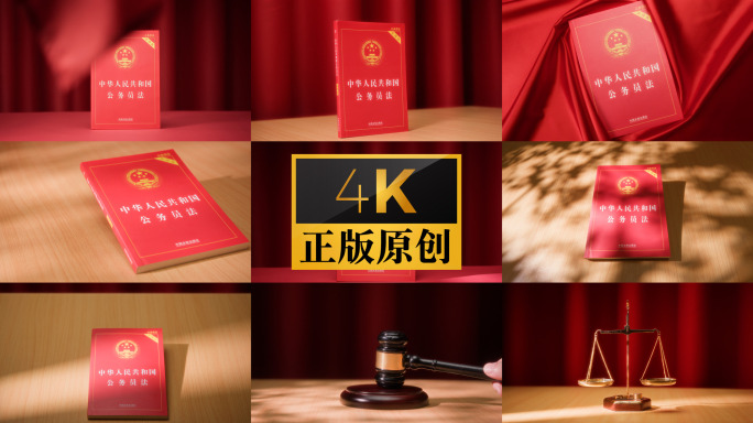 公务员法 实拍 法律 书籍 法治 公仆