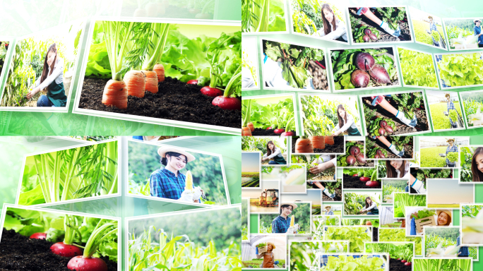 绿色农业照片汇聚成照片墙图片展示AE模板