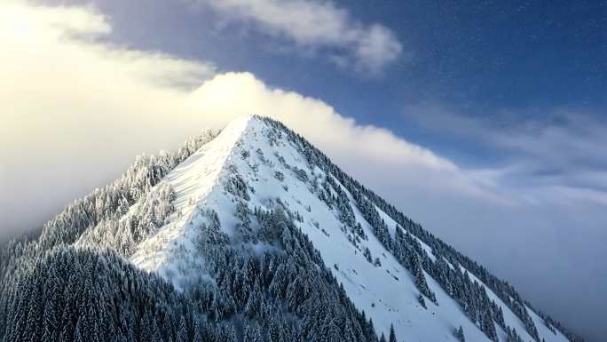 雪山雪景雪松下雪