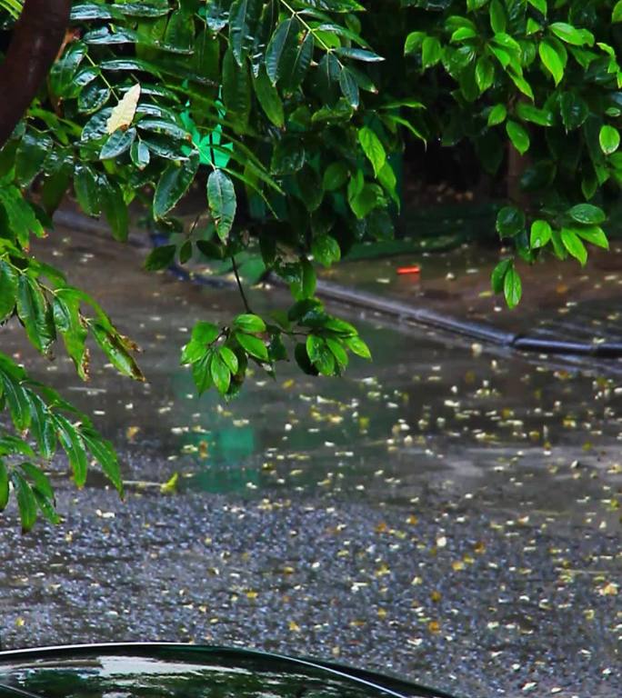 冬天小雨