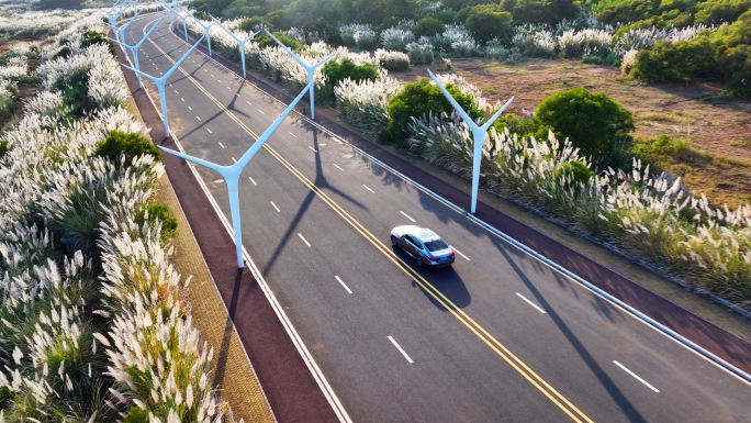 漳州整美村芦苇公路汽车4K航拍