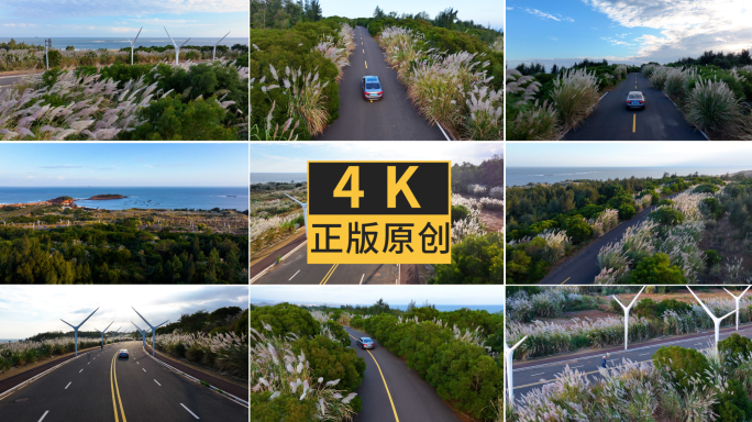 漳州整美村芦苇公路汽车4K航拍