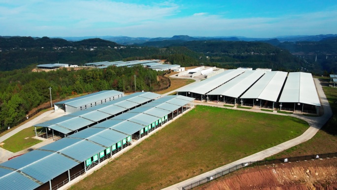 中国畜牧养殖业现代化合集