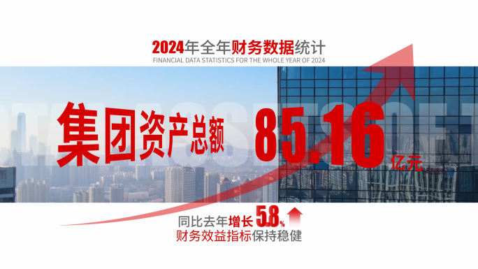 2024银行企业数据图文年终总结