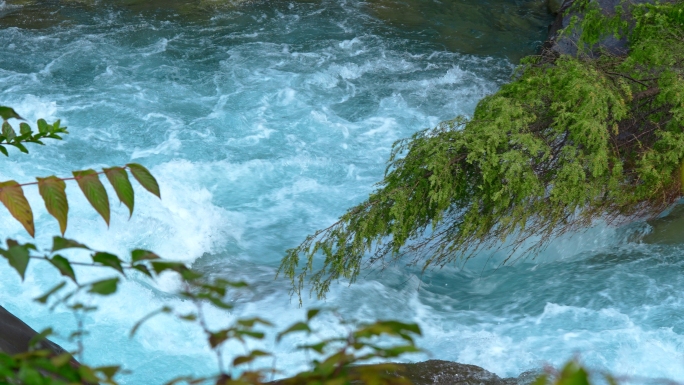 山涧清澈的溪流山泉泉水水源