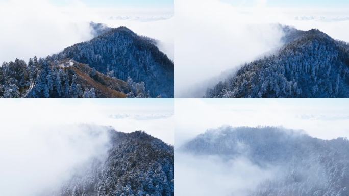 四川西岭雪山美丽风景冬天白雪皑皑云雾缭绕