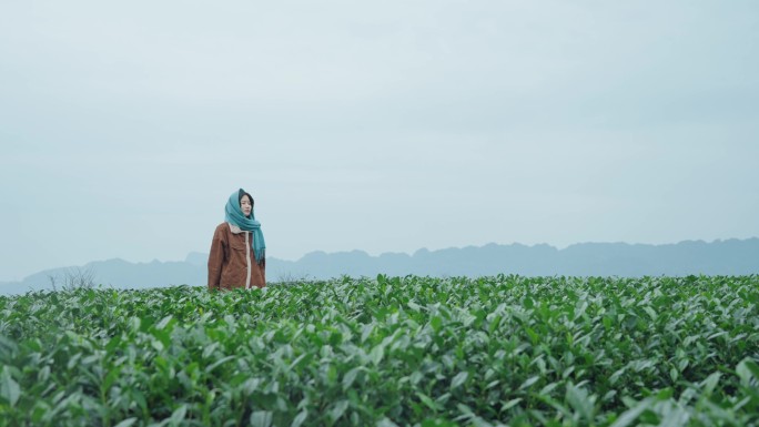 旅拍中国美好生活