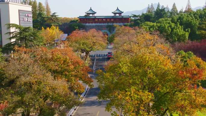 4K航拍南京玄武湖玄武门乌桕秋景道路