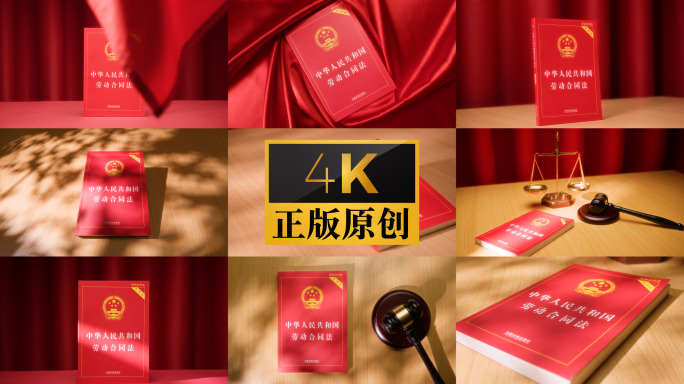 劳动合同法 实拍 法律书籍 法治 司法