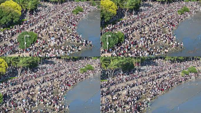 深圳湾公园观鸟人群深圳湾候鸟深圳湾海鸥