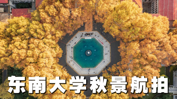 东南大学2024最新秋景航拍【4K】