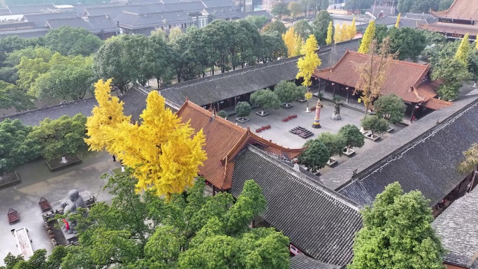 银杏与古寺—什邡罗汉寺航拍素材